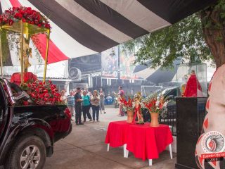 IMG_9118
