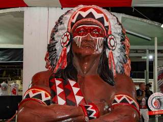 bira-87-66676