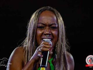 feijoada-132-17-11-2024-1353