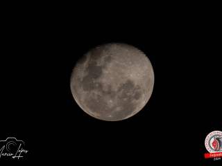 feijoada-132-17-11-2024-1441