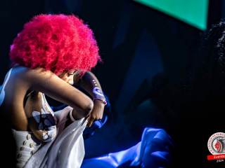 cidade-do-samba-30-08-2024-1167