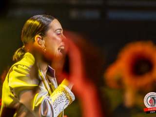 cidade-do-samba-30-08-2024-1190