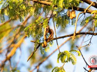 clareou-30-05-2024-66668