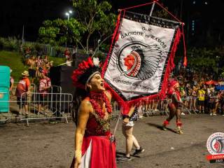 desfile-03-03-2025-1267