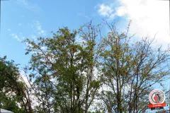 FABINHO, MARGARETE MENDES E GRUPO CACIQUEANDO - 13-12-2025 - FOTOS: MARCIO LOPES