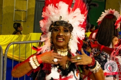 desfile-cidade-do-samba-02-12-2023-66818