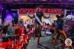 roda-de-samba-11-05-2025-1084