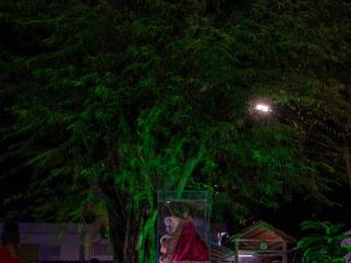 roda-de-samba-12-05-2024-66713-cr2_PURE-RAW