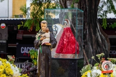 trezena-santo-antonio-07-06-2025-1101