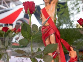 IMG_0081